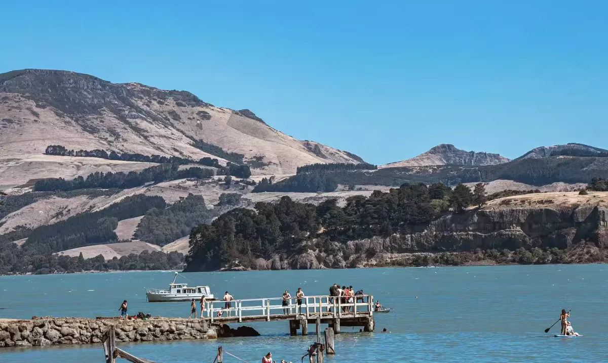 ✨SkyMaster – Trand Store™