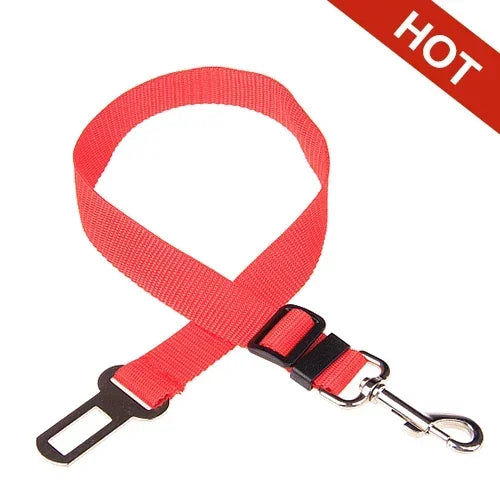 Pet Car Seat Belt Accessories