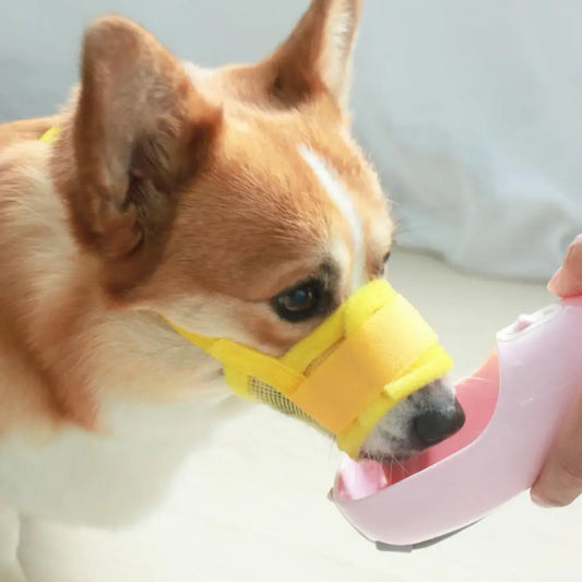 🐶 Dog Muzzle&nbsp; – Trand Store™