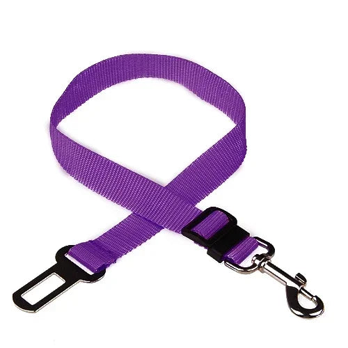 Pet Car Seat Belt Accessories