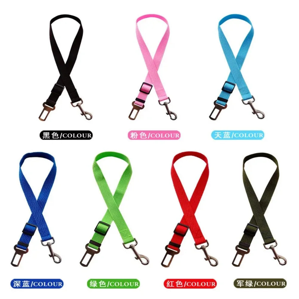 Pet Car Seat Belt Accessories